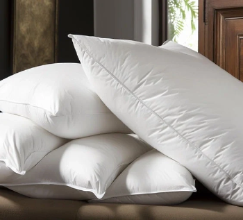Luxury Down Feather Pillows